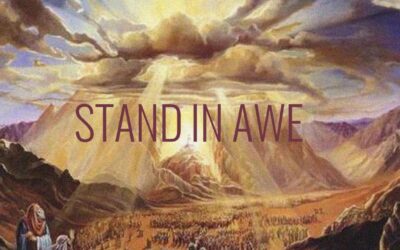 Stand In Awe