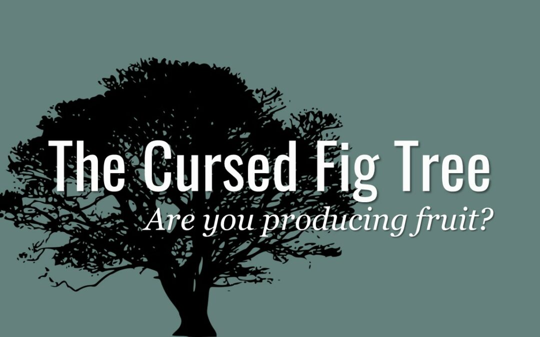 The Cursed Fig Tree